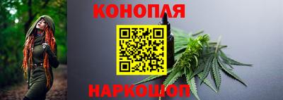 шишки Гусев