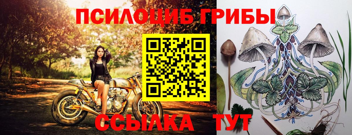 Галлюциногенные грибы MAGIC MUSHROOMS Нижнеудинск