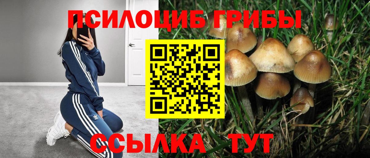 Псилоцибиновые грибы прущие грибы  Галлюциногенные грибы Psilocybe  Нижнеудинск  Вход с VPN 