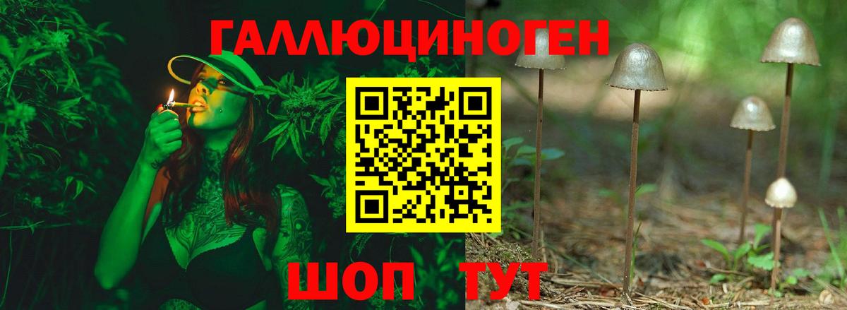 Псилоцибиновые грибы MAGIC MUSHROOMS  Галлюциногенные грибы мухоморы  Нижнеудинск 