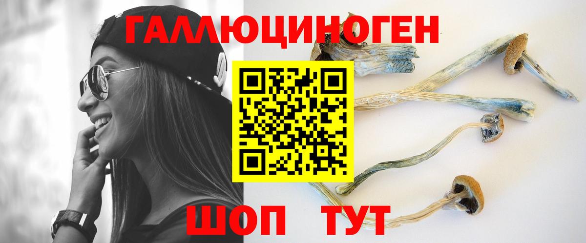 Галлюциногенные грибы GOLDEN TEACHER Нижнеудинск